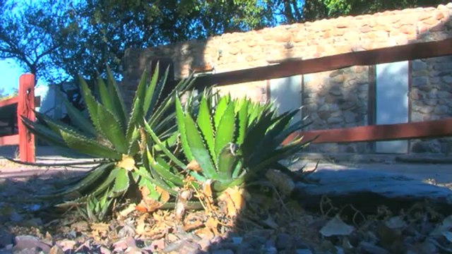 Popular Winter RV Campground Resort Tucson Area RV Parks