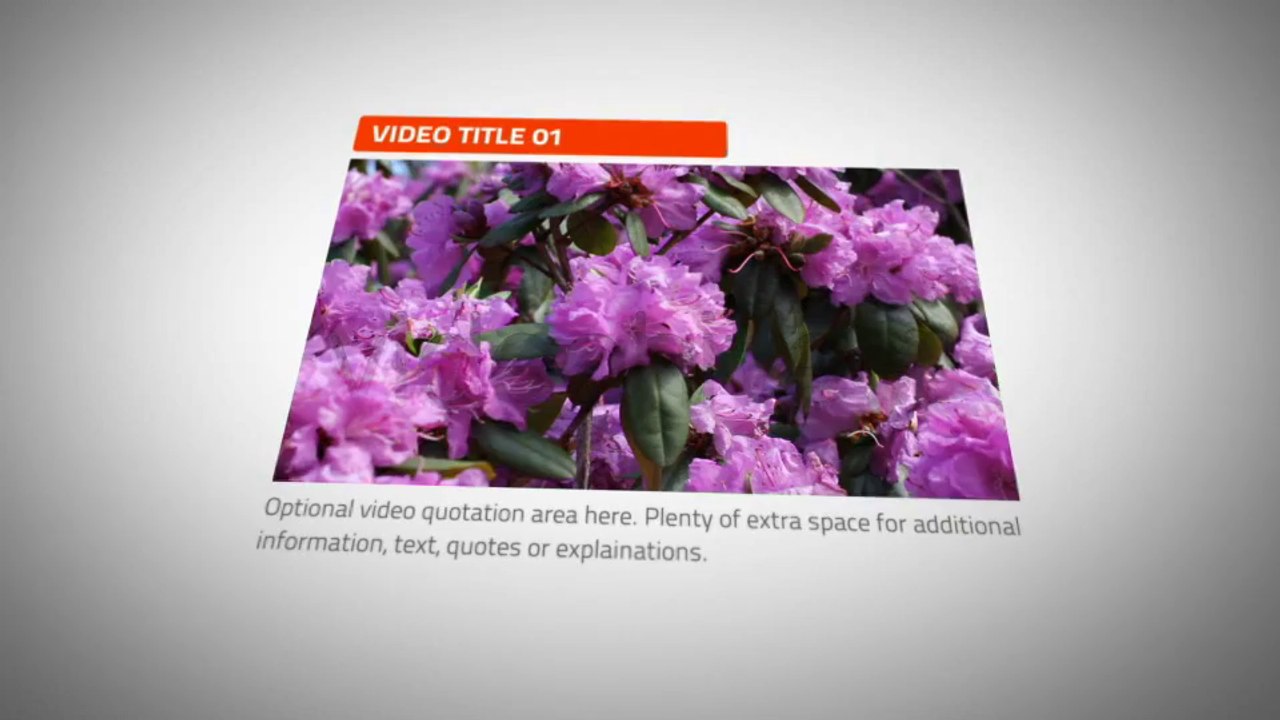 Great Thinkers - After Effects Template