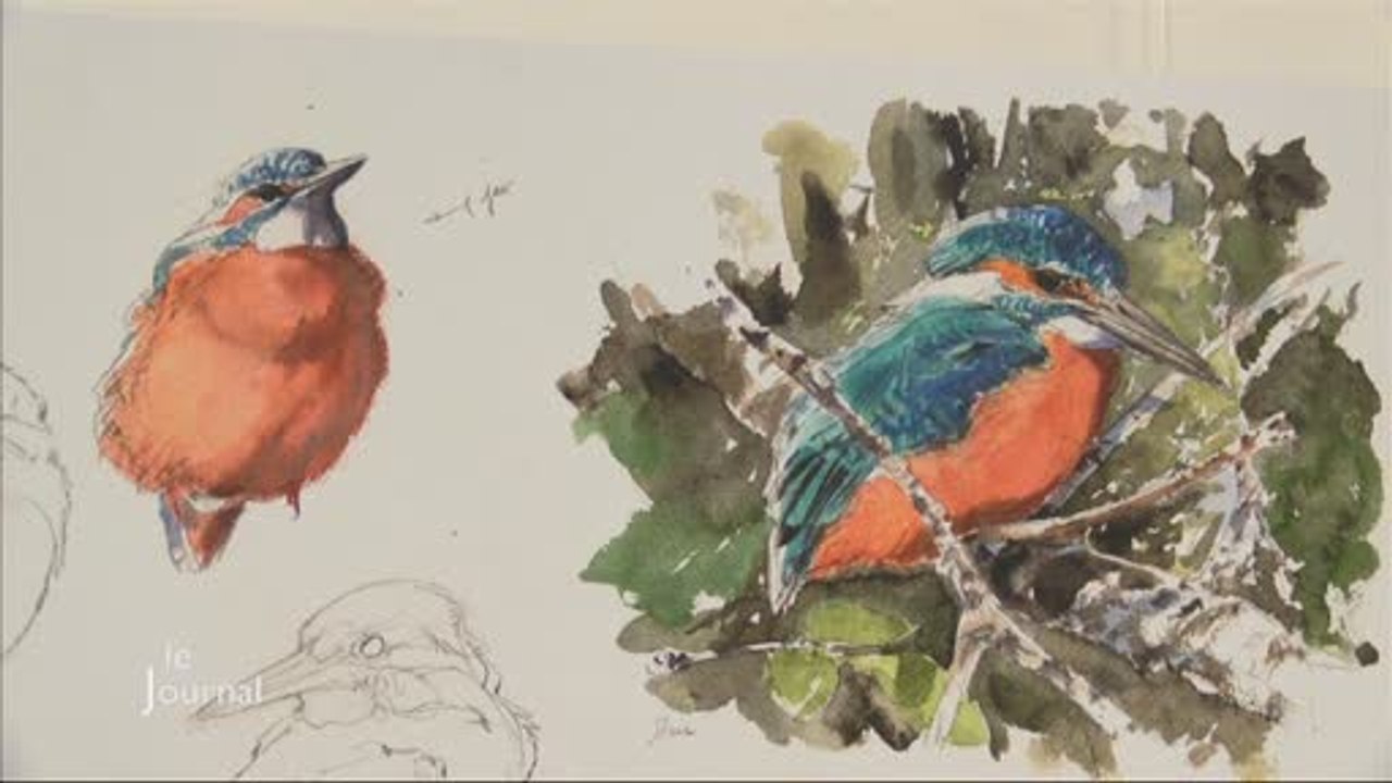 Exposition: Apprendre le dessin animalier (La-Roche-sur-Yon)