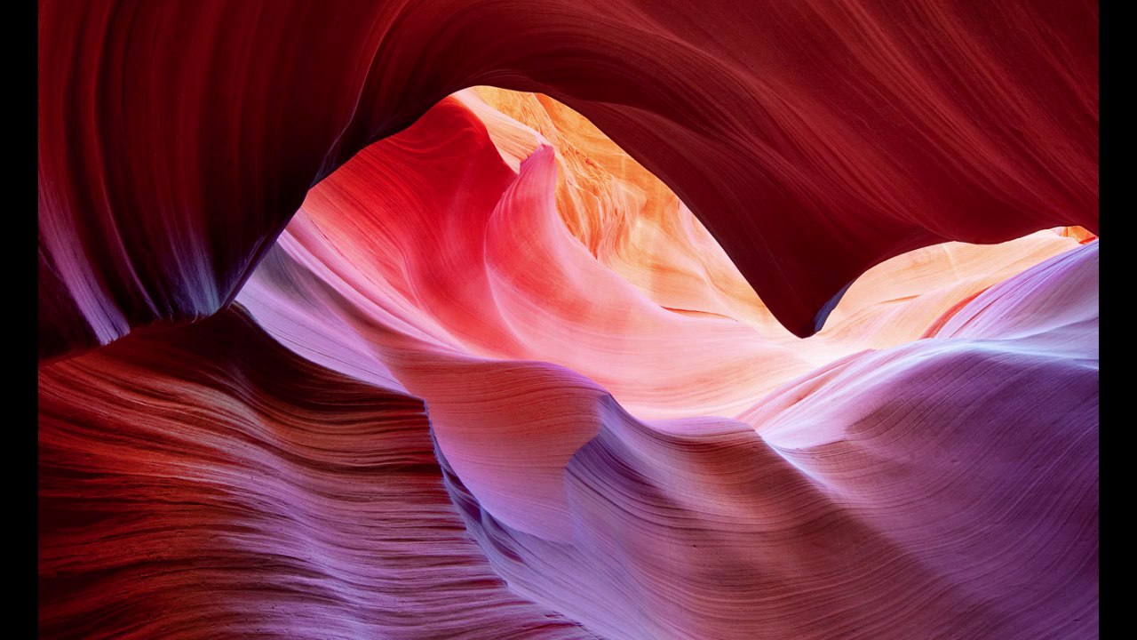 HydraVid Review Video Distribution Platform