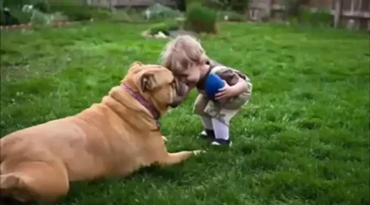 What Has Your Dog Taught You?