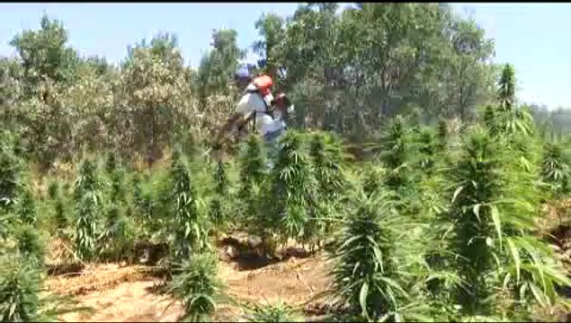 Uyuşturucuyla mücadelede rekor