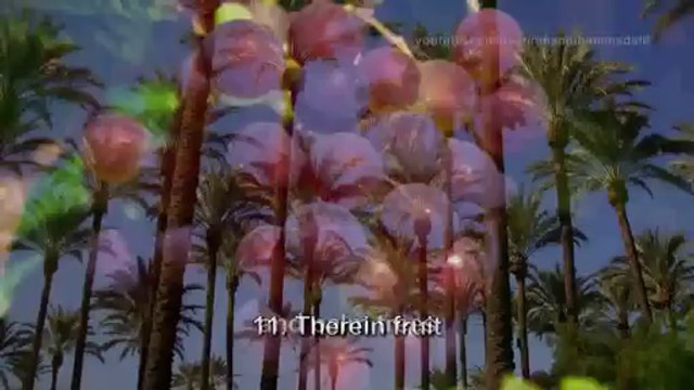 Surah Rahman - Mishary Rashid Al Afasy سورة الرحمن - مشاري العفاسي_HD