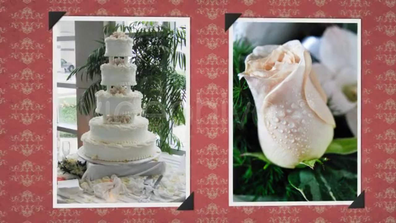 Elegant Wedding Album - After Effects Template