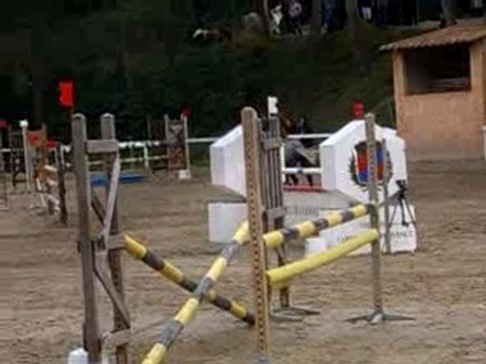 D1P - Nalik du Verger