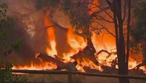 Dozens of homes destroyed by Australian bushfire