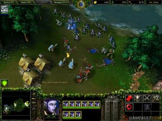 Warcraft III : Reign of Chaos - Faut pas faire son plein chez Elfes