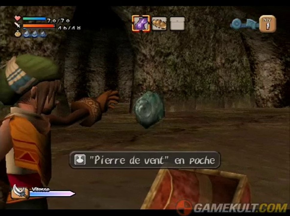 Dark Cloud - Le Blason de Dran