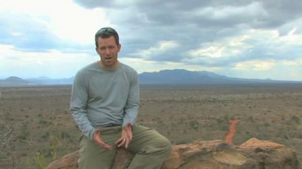 Far Cry 2 - Le ciel, la savane et le producteur