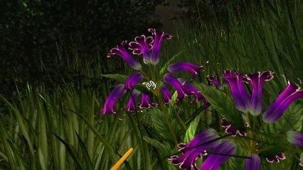 Miasmata - J'ai descendu dans mon jardin