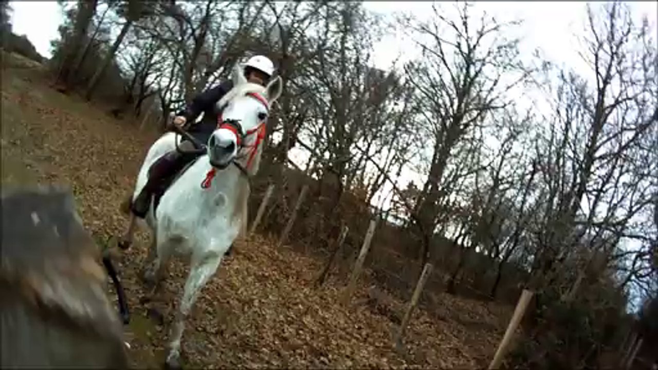 balade du 08 janvier