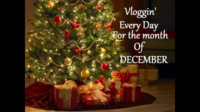Vlogmas 2012: Day 8