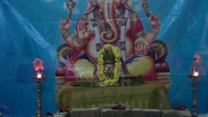 Kala sarpa dosha remedies:Vigna Ganapathi Homam -Vedicfolks.com