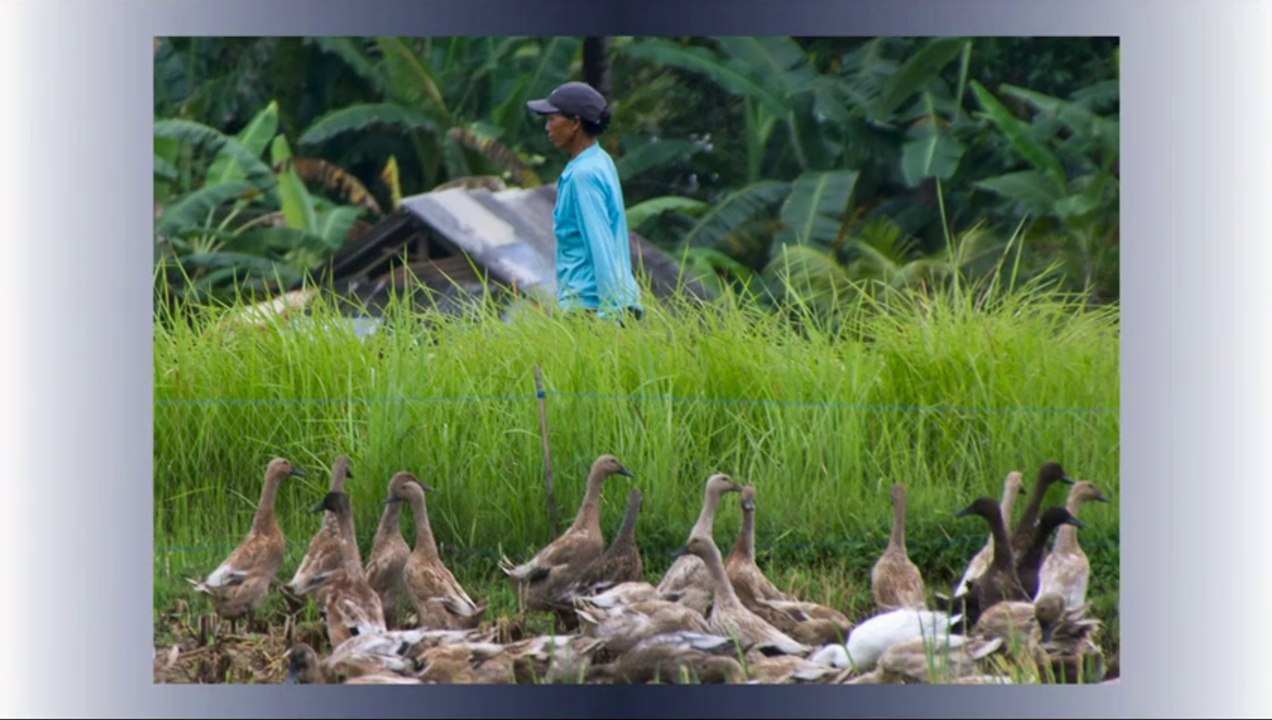 Séjour à Bali avec Bali autrement