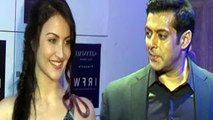 Salman Khan signs Elli Avram for his film