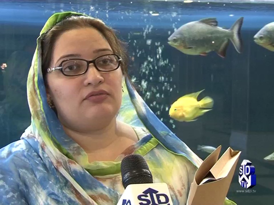 Collaboration For Evidence Based Policy