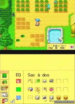 Harvest Moon DS - Récolter, semer