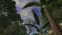 Final Fantasy XI : Explorateurs d'Adoulin - Trailer date de sortie