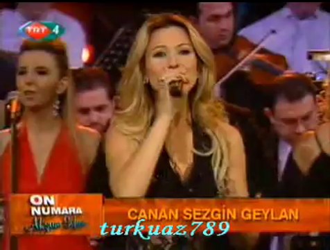 Canan SEZGİN GEYLAN-Değdi Saçlarıma Bahar Gülleri