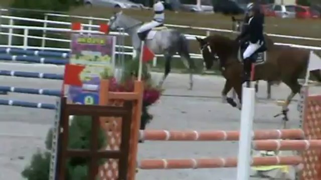 Superbe cheval a vendre par Baloubet du Rouet