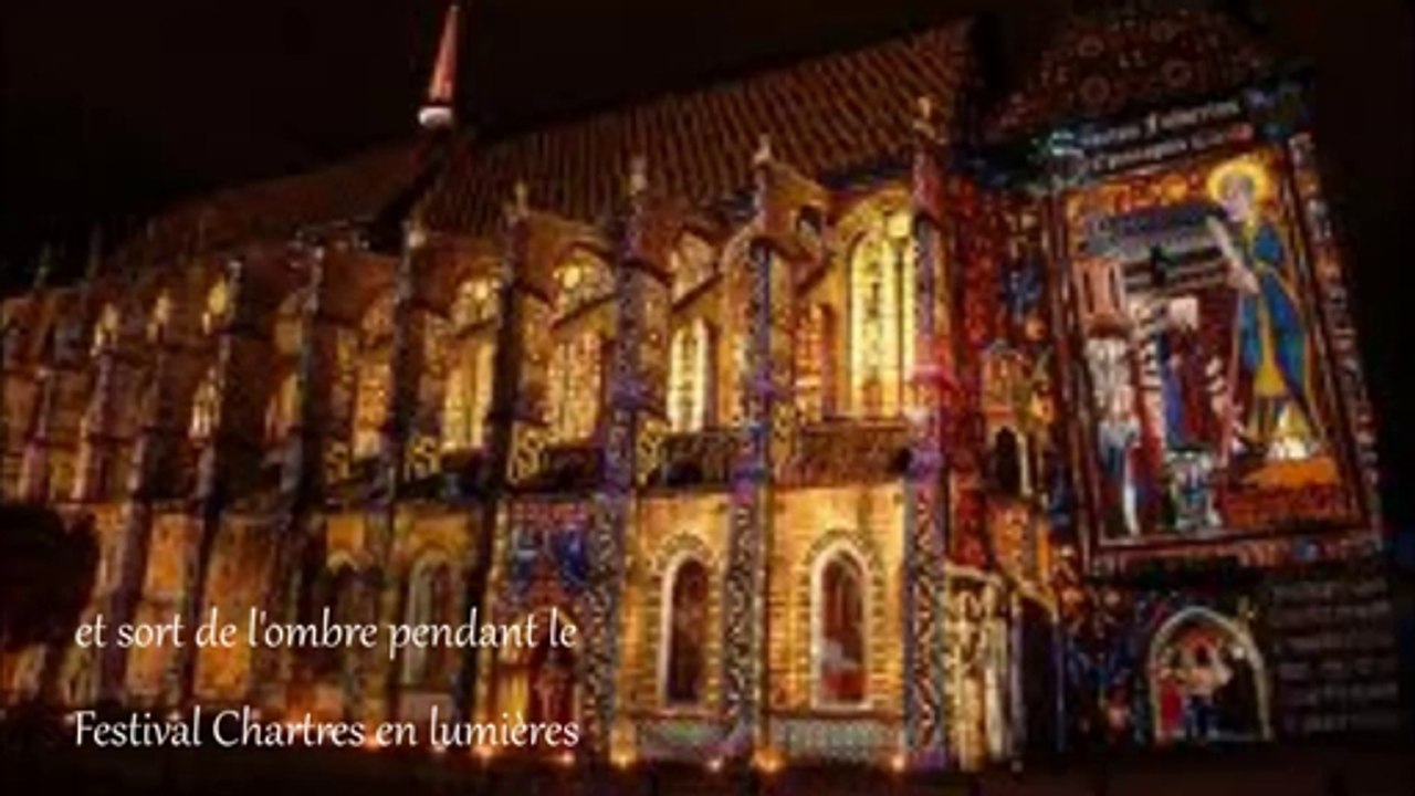 "L'abeille" de Camille Arman Janvier 2014