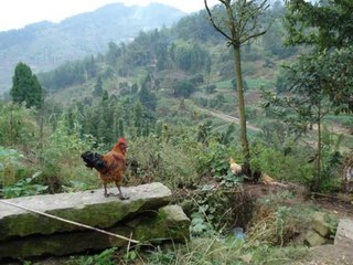 Remote China and its Pristine Beauty, But Poverty Strangles - China Tours.  Taken on a Canon Video Camera while on a mission.