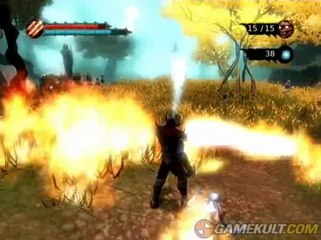 Overlord - Le bosquet tout cramé