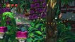 Donkey Kong Country : Tropical Freeze - Donkey Kong Country : Tropical Freeze E3 Trailer