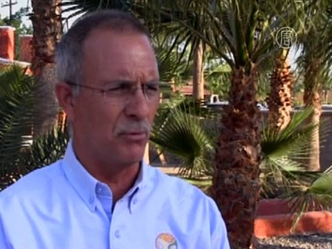 В Мексике обнаружили сросшихся китов