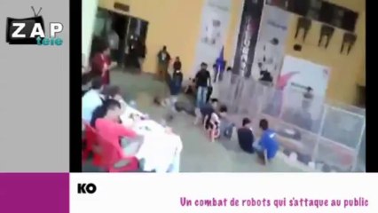 Zapping du net du 9 janvier 2014