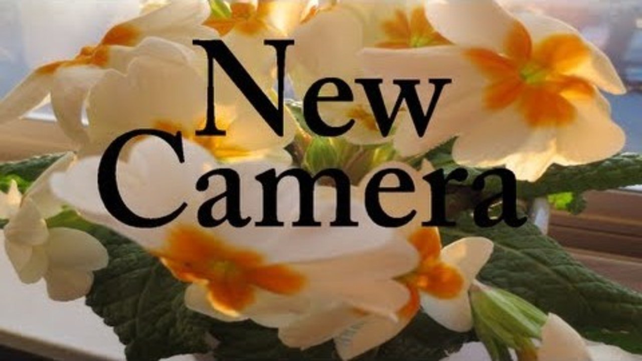 03.23.13 ( New Camera!)