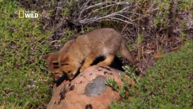 Le parc national Torres del Paine