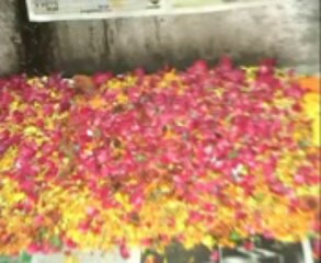 lost,,,,love vashikaran specialist baba +91-9815432022