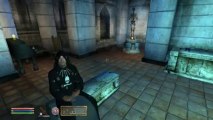 Oblivion: Origin of the Mages Guild Mod V7