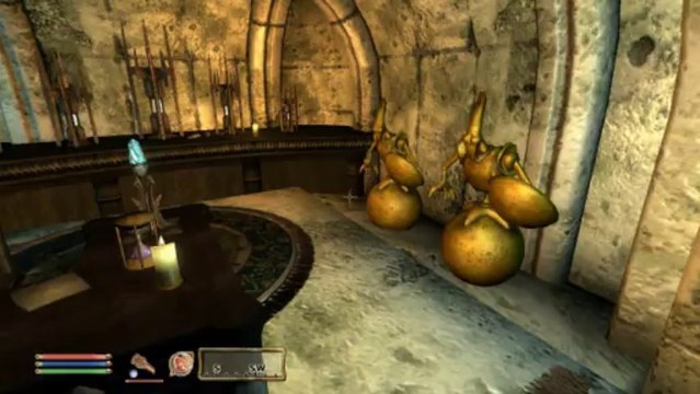 Oblivion: Origin of the Mages Guild Mod V6.3