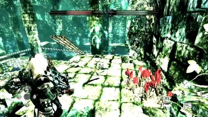 Hunted : The Demon's Forge - Corbeaux