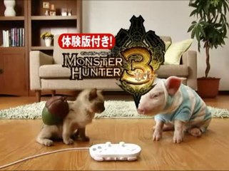 Monster Hunter G - Pub Japon #2