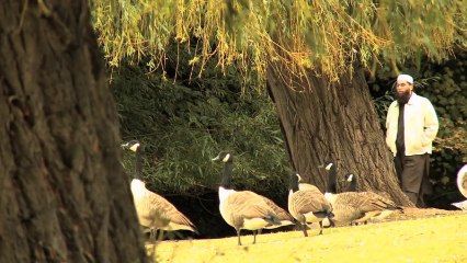 Naat Online : Mera Dil Badal Day HD Official Video - Junaid Jamshed