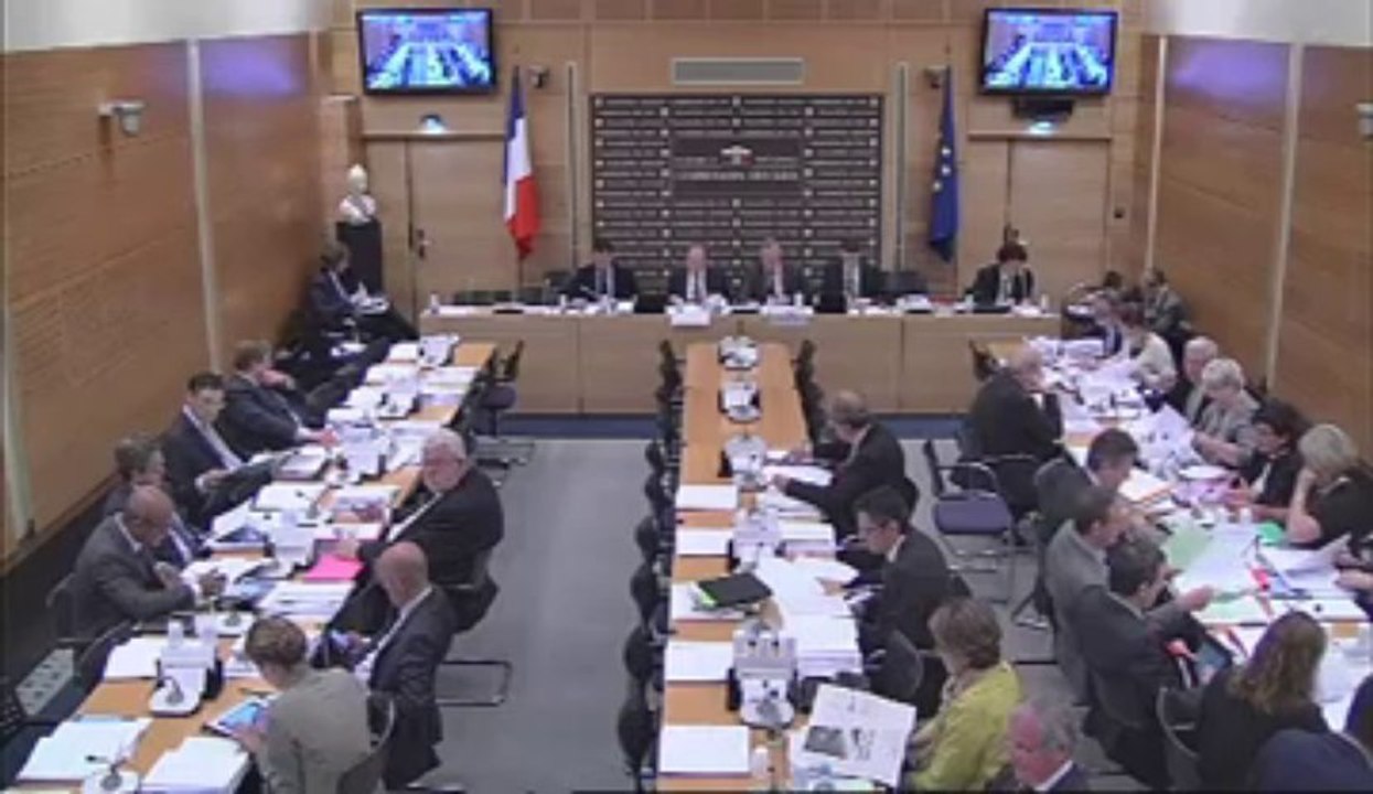 Représentation des Français établis hors de France - Mercredi 12 Juin 2013