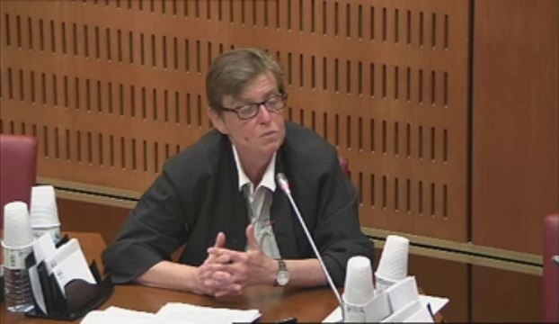 Audition de Mme Isabelle Grémy, directrice du département maladies chroniques et traumatismes (INVS) - Jeudi 6 Juin 2013