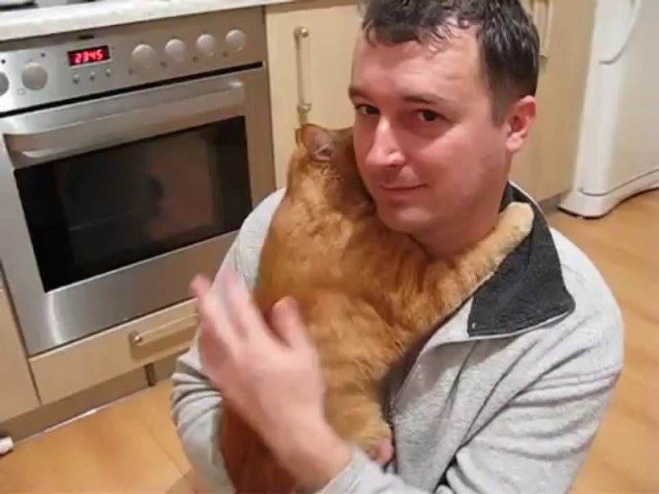 Un chat fait un gros câlin