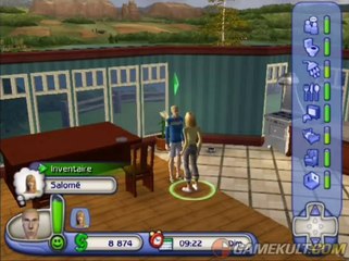 Les Sims 2 : Animaux & Cie - Un après-midi classique à Simville