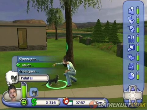 Les Sims 2 Animaux & Cie PSP Version Française - Complet Et En Très Bon état
