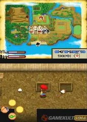 Harvest Moon : Ile Sereine - Rentrons les poules
