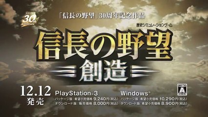 Nobunaga's Ambition Sôzô - Pub Japon