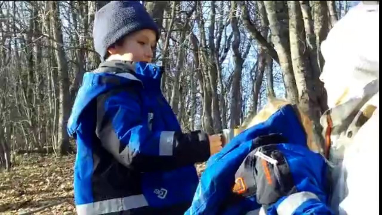 лед