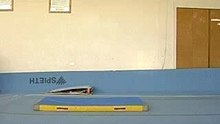 DSCN6529