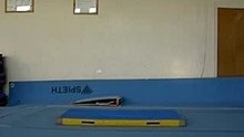 DSCN6530