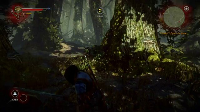 The Witcher 2 : Assassins of Kings - Enhanced Edition - Changer d'épée