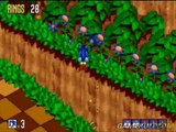 Sonic Mega Collection - Les joies de la 3D